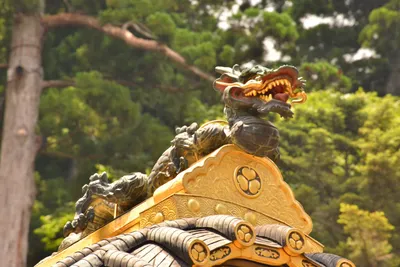 DSC_3875 (Large).JPG